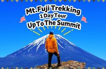 Mt.Fuji Trekking 1 Day Tour up to the summit 