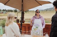 Lavender Field Guided Tour