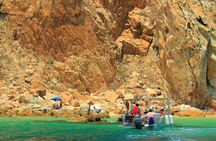 Half-Day Exploring the Arch of Cabo San Lucas Guided Tour