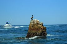 Half-Day Exploring the Arch of Cabo San Lucas Guided Tour