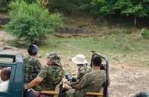 3-Hour Shared Safari in Ranthambore National Park