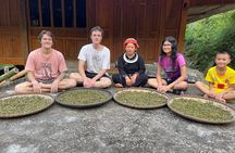 Ha Giang Bikki's Jungle homestay