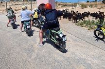 Essaouira Express Circuit by Electric Motorcycle