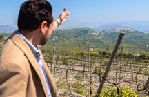 Di Giovanna Winery Tour & 5 Wine Tasting