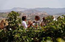 Di Giovanna Winery Tour & 3 Wine Tasting