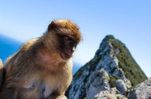 From Malaga, Gibraltar excursion with transport