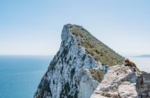From Malaga, Gibraltar excursion with transport