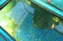 Private Glass Bottom Boat Ride in Trincomalee Beach