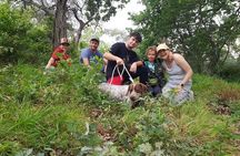  2 hours Private Activity - Truffle hunting in Assisi