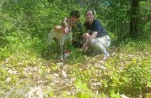  2 hours Private Activity - Truffle hunting in Assisi