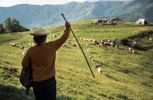 Immersive 2-Day Tour/Homestay with Shepherds in the Albanian Alps