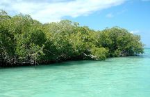 Exclusive Adventure in Saona: Small Group 
