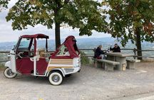 Half Day Private Tour Ape Calessino in the Barolo Langa