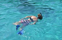 Saona Island Small-Group Tour with Natural Pool, Lunch & Drinks