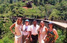 7-Day Private Sri Lanka Tour (Sigiriya, Ella, Yala & Galle Fort)
