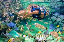 Bavaro Catamaran: Sail, Snorkel & Party with Drinks and Snacks