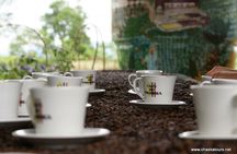 Private Tour in an Authentic, Ecological Local Coffee Finca.