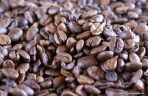 Private Tour in an Authentic, Ecological Local Coffee Finca.