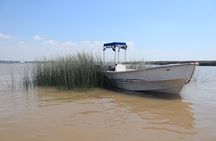 Unveiling Tigre Secrets of Delta & Rio de la Plata