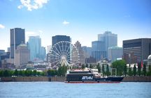 AURA experience at Notre-Dame Basilica and guided cruise