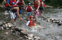 Lower Pigeon River Whitewater Rafting above Ages 3