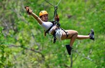 Veragua Zipline & Tortuguero Canal Boat Tour. Puerto Limon Shore Excursion