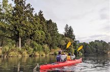 Tauranga Daytime Scenic Lake McLaren Tour