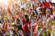 Live Football Guided Experience at the São Paulo's Stadium