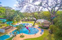 Bamboo Rafting, River Tubing, and Appleton Rum Tasting 