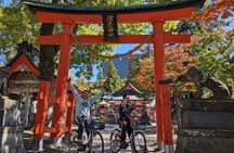 eTour de Matsumoto - Private Electric Bike Tour