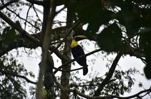 Arenal ATV Wheels - La Fortuna 