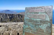 Best of Cape Private Tour: Cape Point, Penguins & Table Mountain