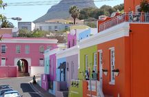 Best of Cape Private Tour: Cape Point, Penguins & Table Mountain