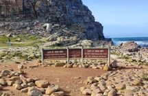 Best of Cape Private Tour: Cape Point, Penguins & Table Mountain