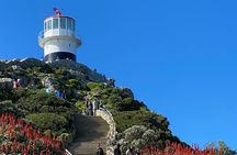 Best of Cape Private Tour: Cape Point, Penguins & Table Mountain