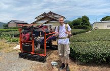 Shizuoka Tea Picking Private Experience