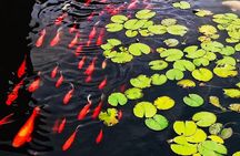 Full Day Private Tour Incredible Hangzhou Highlight