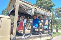 Private Beach Lodge and Giraffe Interaction for Cruise ship Guest