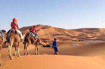 3 Days 2 Nights Desert Trip From Fez to Marrakech in Group