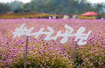 Nari Park Festival, Pocheon Art Valley & Herb Island Day tour