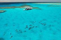 Pearls Island