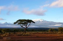 3day Amboseli Park Private safari 