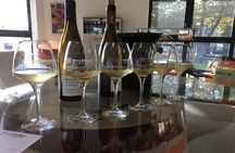 Private Tasting in Beaune : The Best of Burgundy Wines
