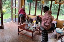 Tea Farm Experience at Riara Tea Farm And Factory Tour