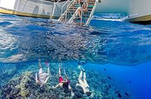 Half-Day Deluxe Molokini Snorkel Excursion in Maui