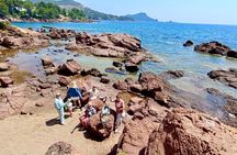 French Riviera Colorado & Var West by Train (from Cannes/Nice)