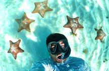 The Cozumel Turtle Sanctuary Snorkel Tour
