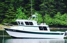 Whale Watching and Wildlife Adventure in Sitka