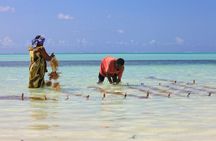 Jambiani Village Cultural Private Tour