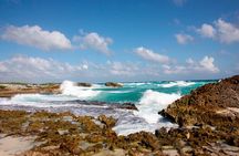 Private Jeep Tour and Punta Sur Park in Cozumel